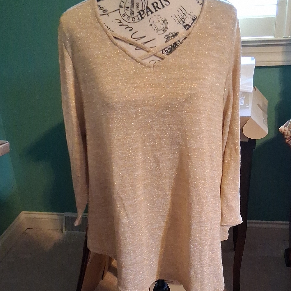 Ruby Rd. Women's Beige Long Sleeve Top